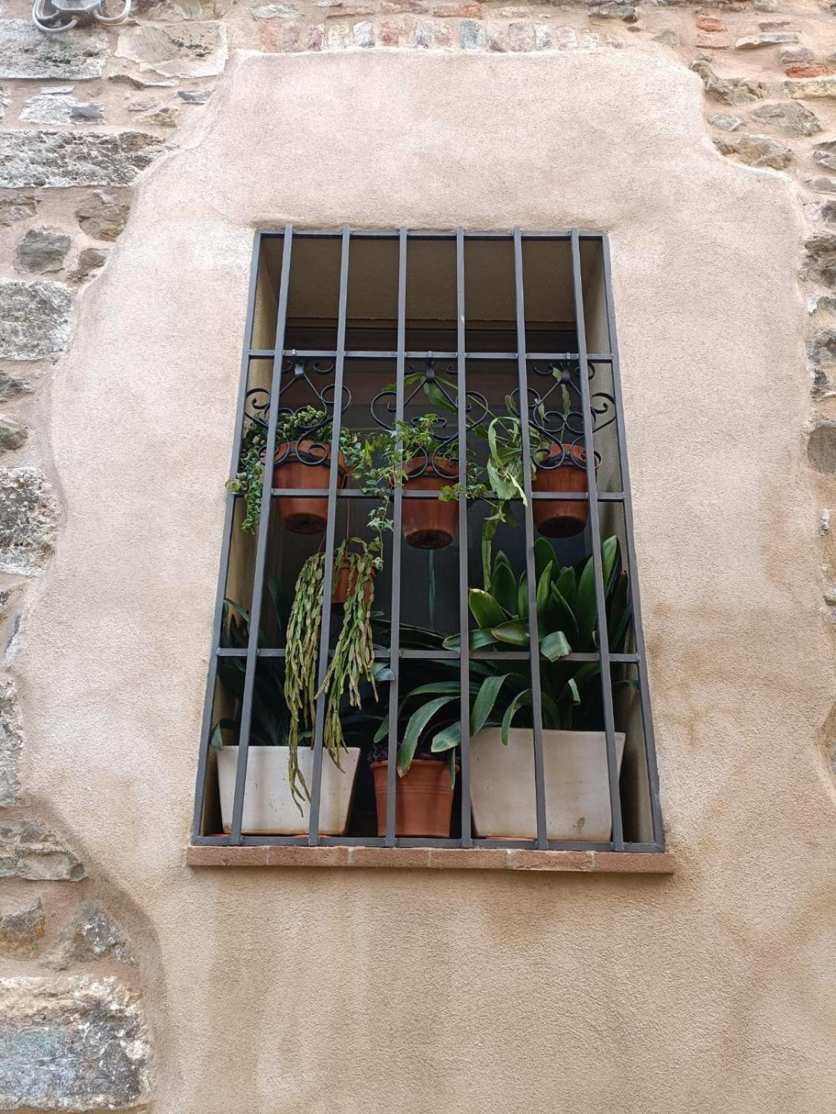 Apartment Anita Hh Montemerano